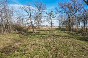 1960 County Road 1030 - Photo 27