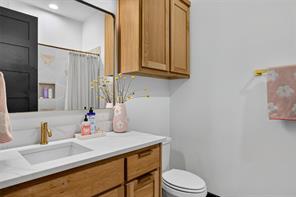 206 Lila Blue Lane - Photo 29