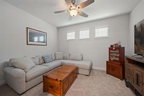225 Fulton Street - Photo 22