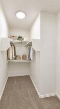 5116 Grove Cove Drive - Photo 16
