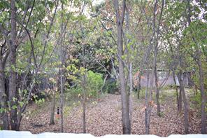 1802 Cottonwood Road - Photo 4
