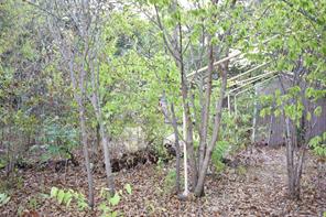 1802 Cottonwood Road - Photo 5