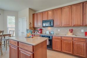 16309 Dry Creek Boulevard - Photo 18
