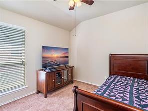 8717 Whirlwind Trail - Photo 14