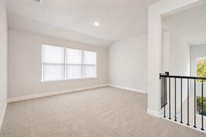 2902 Cremini Fls - Photo 11