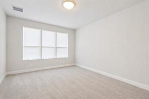 2902 Cremini Fls - Photo 14