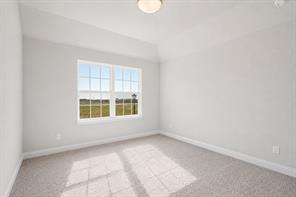 2902 Cremini Fls - Photo 19